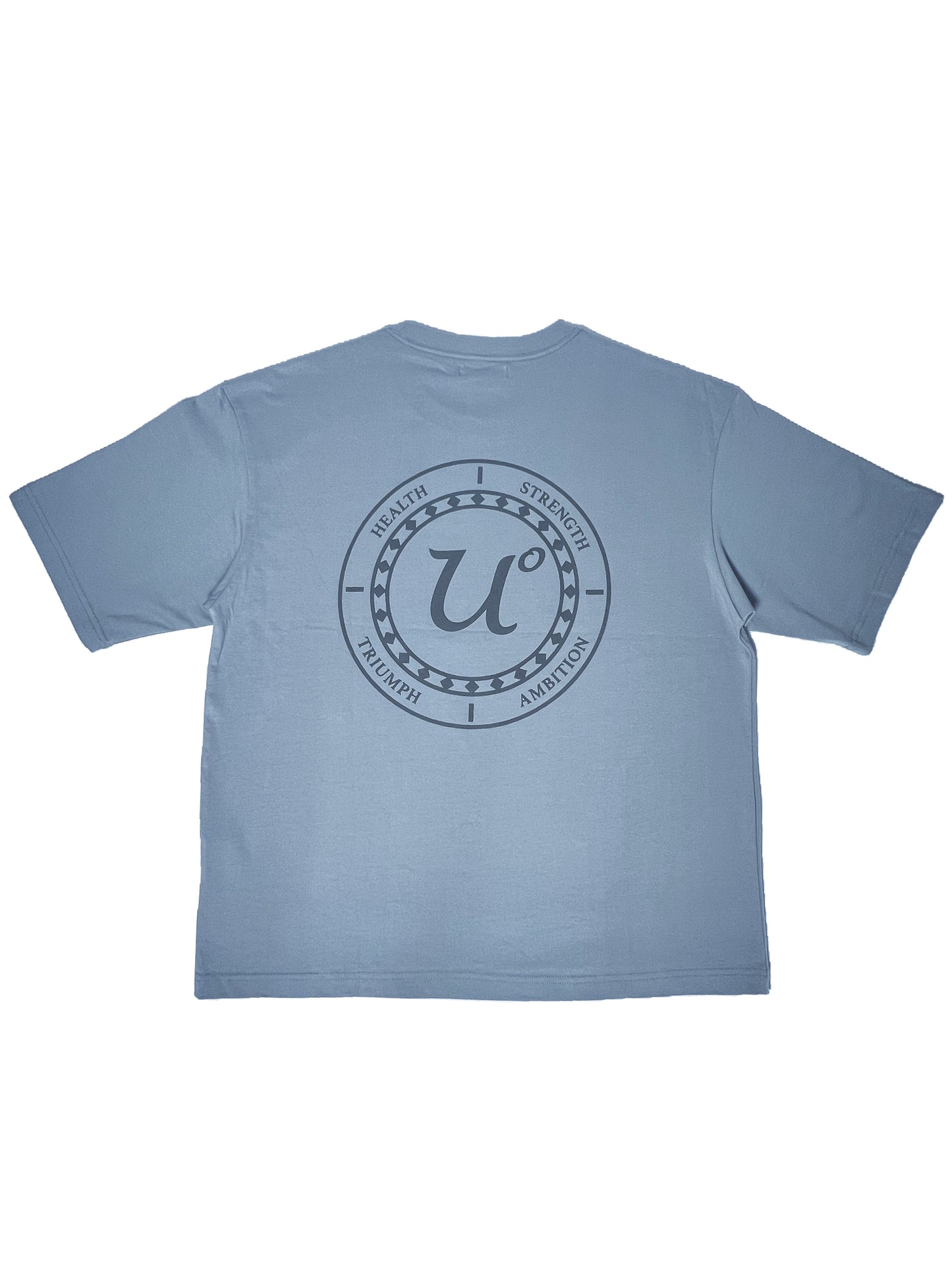 AMBITION "Premium" Oversized Unisex Tee