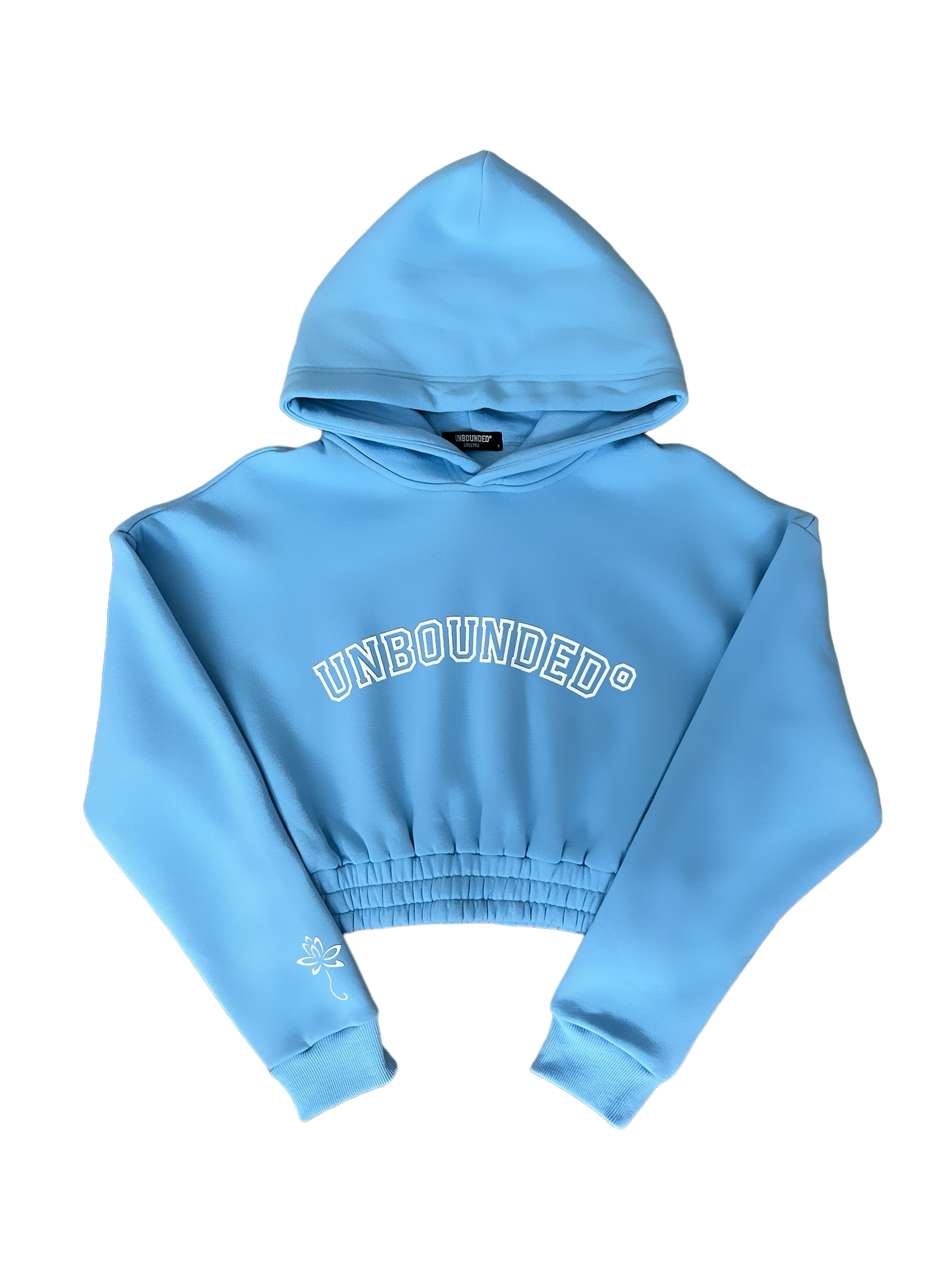 AMBITION CROPPED HOODIE